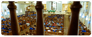 Weekly Bulletin